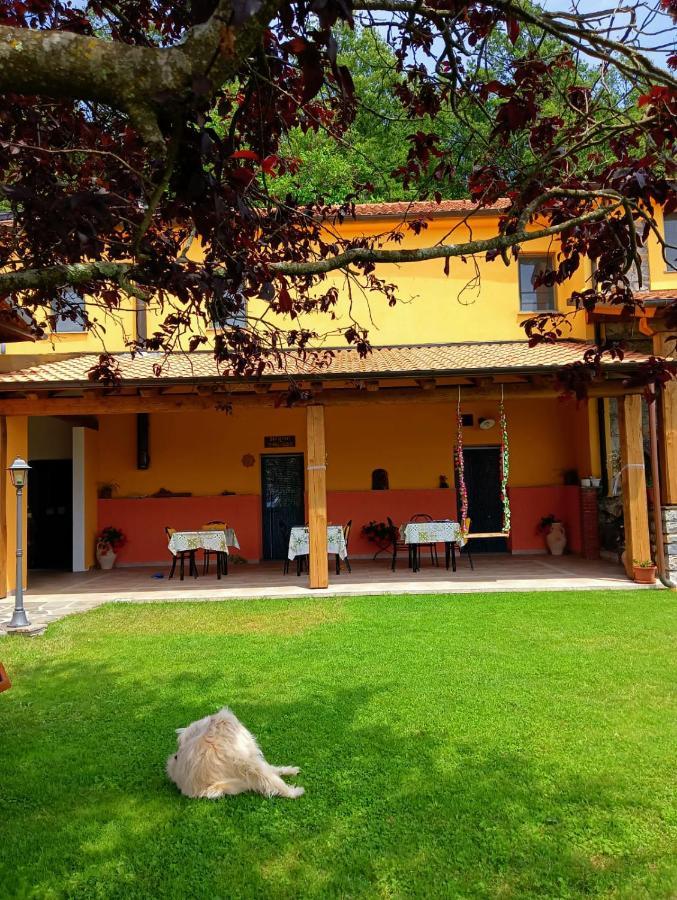 Terra Del Bosco Agriturismo Sesta Godano Exterior photo